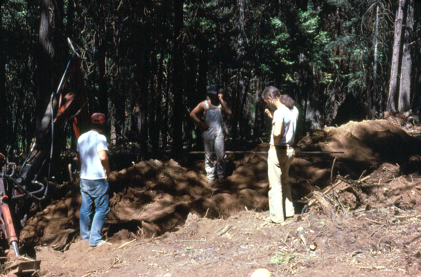 Larry Byam Curtis Pollock Pines